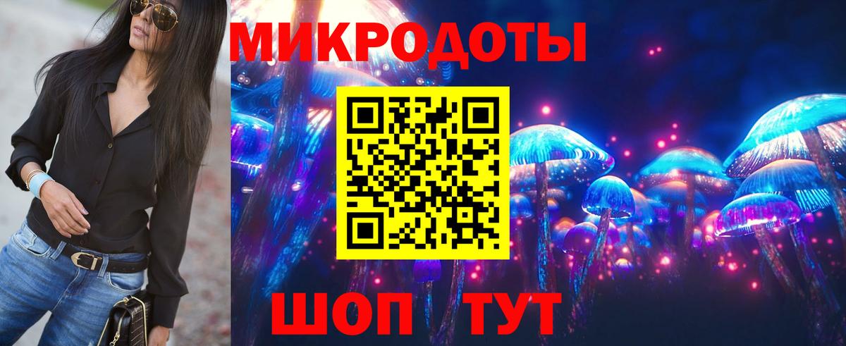 Галлюциногенные грибы Cubensis Черкесск