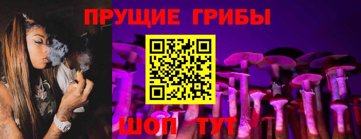 Черкесск  Галлюциногенные грибы Cubensis  Вход с VPN  Псилоцибиновые грибы Psilocybe 